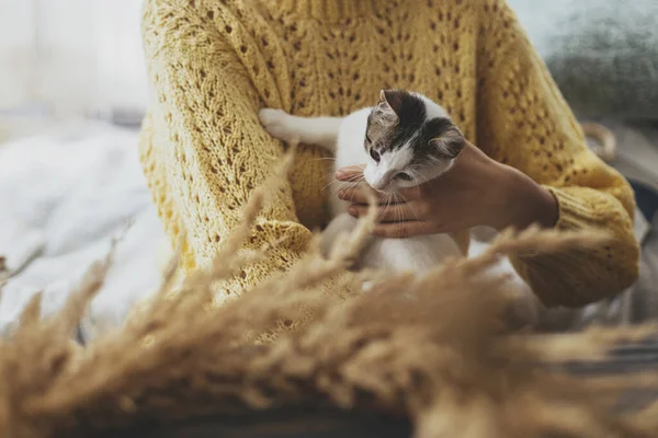 Woman Yellow Sweater Holding Cute Little Kitten Making Together Stylish — Stock Photo, Image
