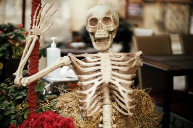 Korkunç iskelet, çiçekler ve saman yığınları şehir sokaklarında, mağazaların ve binaların tatil süslemeleri. Ürkütücü Cadılar Bayramı sokak dekoru. Şeker mi şaka mı? Cadılar bayramın kutlu olsun. Kasaba pazarı