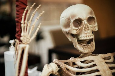 Korkunç iskelet, kafatası ve el şehir caddesinde, tatil süslemeleri. Ürkütücü Cadılar Bayramı sokak dekoru. Şeker mi şaka mı? Cadılar bayramın kutlu olsun. Kasabada sonbahar pazarı. Ürkütücü