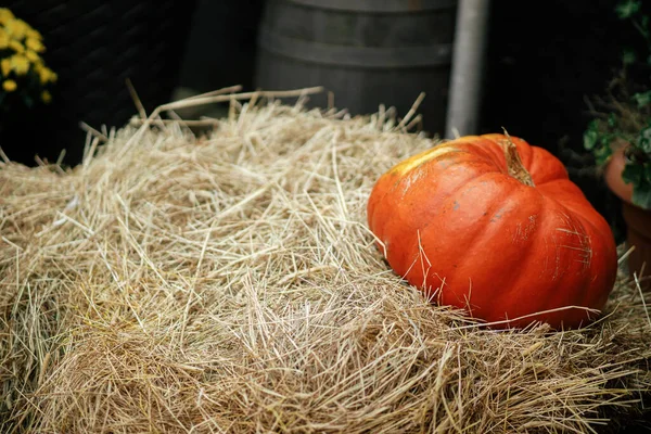 Pumpkin Hay Stacks City Street Festive Holiday Decor Halloween Festive — Stock Photo, Image