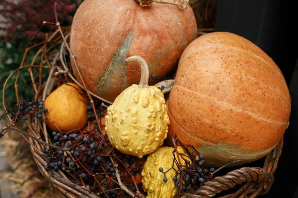Autumn Harvest Wicker Basket Pumpkins Squash Autumn Berries Hay Stack — Stock Photo, Image
