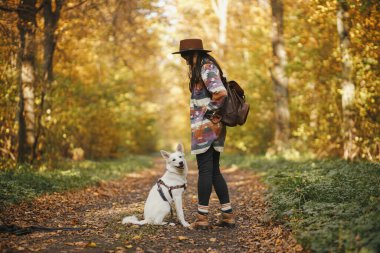 Sırt çantalı şık bir kadın güneşli sonbahar ormanlarında sevimli bir köpekle duruyor. Genç bayan hippi, İsviçreli çoban köpeği beyaz köpekle seyahat ediyor. Evcil hayvanla seyahat et, mesaj için yer aç. Seyahat tutkusu