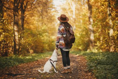Sırt çantalı şık bir kadın güneşli sonbahar ormanlarında sevimli bir köpekle duruyor. Genç bayan hippi, İsviçreli çoban köpeği beyaz köpekle seyahat ediyor. Evcil hayvanla seyahat et, mesaj için yer aç. Seyahat tutkusu