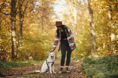 Şık şapkalı gezgin kadın güneşli sonbahar ormanlarında sevimli köpekleri okşuyor. Genç bayan hippi, İsviçreli çoban köpeği beyaz köpekle seyahat ediyor. Evcil hayvanla seyahat et, mesaj için yer aç. Seyahat tutkusu