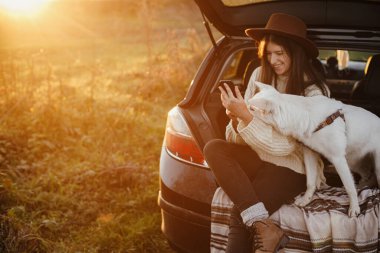 Süveter giyen şık hippi kadın elinde telefon, gün batımında arabanın bagajında sevimli bir köpekle oturuyor. Evcil hayvanla seyahat ve sonbahar gezisi. Akıllı telefonlu genç bir bayan seyahat ediyor. Metin için boşluk