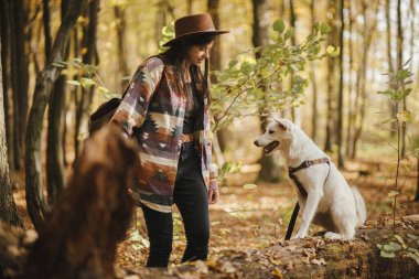 Şapkalı şık bir kadın güneşli sonbahar ormanlarında yaşlı kütüğün üzerinde oturan sevimli bir köpeği eğitiyor. Güzel ormanda çoban köpeği olan genç bir bayan gezgin. Evcil hayvanla seyahat et ve öğren.