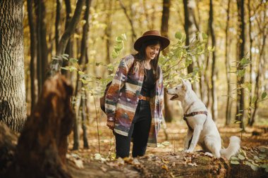 Şapkalı şık bir kadın güneşli sonbahar ormanlarında yaşlı kütüğün üzerinde oturan sevimli bir köpeği eğitiyor. Güzel ormanda çoban köpeği olan genç bir bayan gezgin. Evcil hayvanla seyahat et ve öğren.