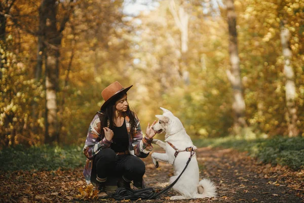 Stilvolle Reiseleiterin Mit Hut Und Rucksack Sitzt Mit Niedlichem Hund — Stockfoto