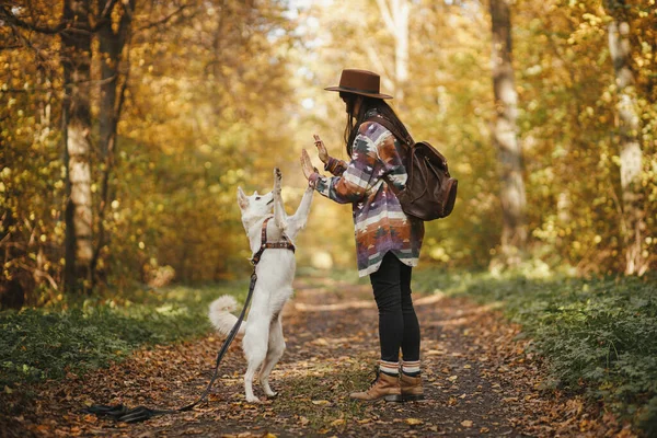 Stylová Žena Klobouku Batohem Trénink Roztomilý Pes Slunném Podzimním Lese — Stock fotografie
