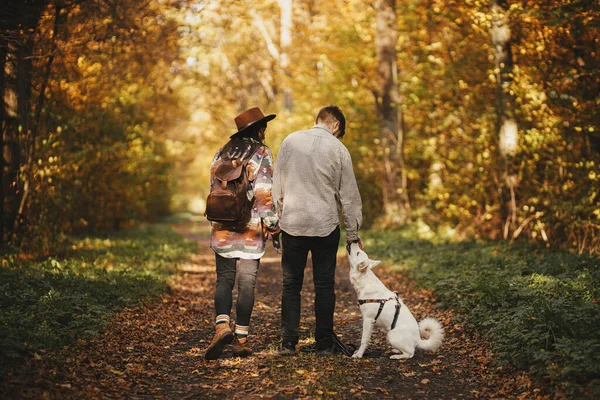 Couple Élégant Randonnée Avec Chien Mignon Dans Les Bois Ensoleillés — Photo