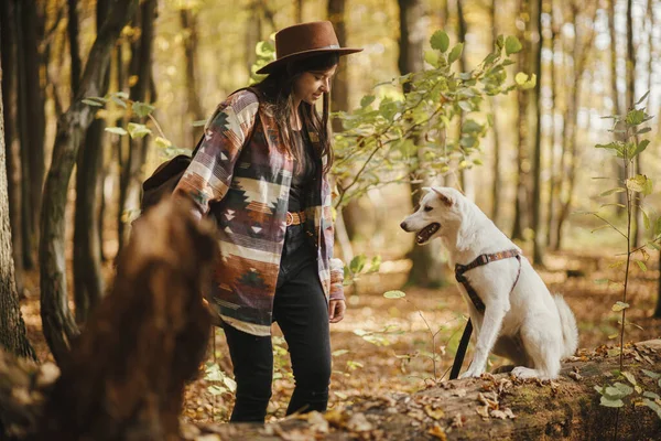 Wanita Bergaya Dalam Topi Melatih Anjing Lucu Duduk Tunggul Tua — Stok Foto