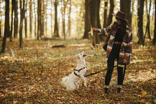 Stilvolle Frau Spielt Mit Niedlichem Hund Mit Gelbem Blatt Sonnigen — Stockfoto