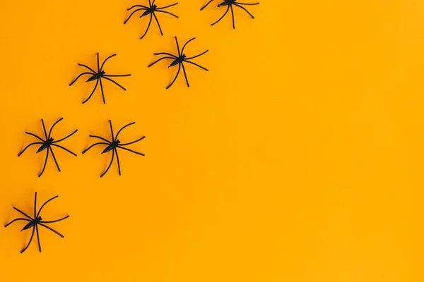 Halloween Lag Flach Spinnen Layout Auf Orangefarbenem Hintergrund Mit Platz — Stockfoto