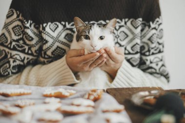 Samimi kazaklı bir kadın şirin kedi yavrusuna sarılıyor ve kırsal masada zencefilli kurabiye yapıyor. Mutlu Noeller! Atmosferik karamsar görüntü. Hayvan ve kış tatilleri