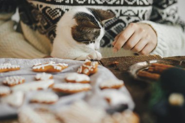 Şirin kedi yavrusu, rahat süveter giyen bir kadınla oturuyor ve kırsal masada zencefilli kurabiye yapıyor. Mutlu Noeller! Atmosferik karamsar görüntü. Hayvan ve kış tatilleri