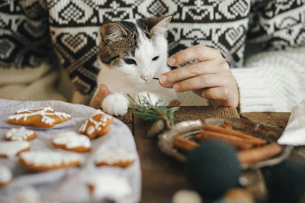 Mujer Suéter Lindo Gatito Haciendo Juntos Elegantes Galletas Jengibre Navidad — Foto de Stock