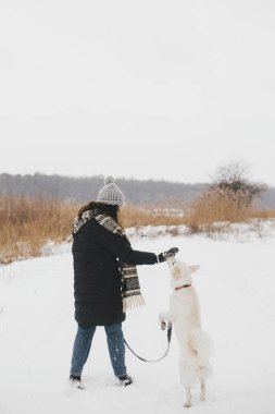 Karlı kış parkında sevimli köpekle oynayan şık hippi kadın. Evcil hayvanla yürüyüş ve seyahat. Samimi giysiler içinde genç, mutlu bir bayan, İsviçreli çoban köpeği eğitiyor. Sadık yoldaş.