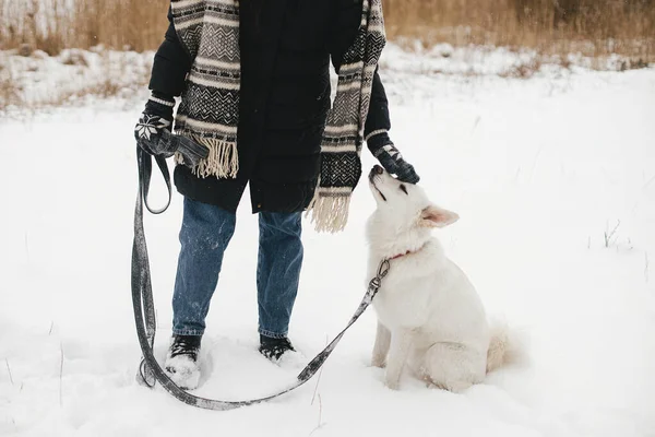 Stijlvolle Hippe Vrouw Strelen Schattige Hond Besneeuwde Winter Park Wandelen — Stockfoto