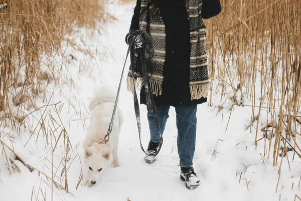 Mulher Hipster Elegante Andando Com Cão Bonito Parque Inverno Nevado — Fotografia de Stock