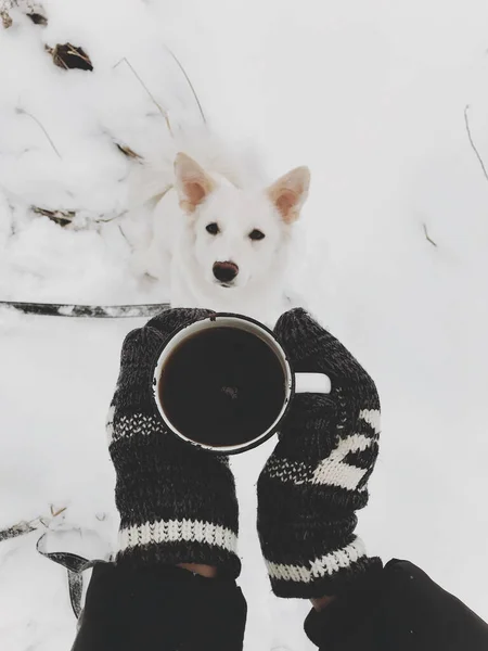 Hände Kuscheligen Handschuhen Halten Eine Warme Tasse Tee Auf Dem — Stockfoto