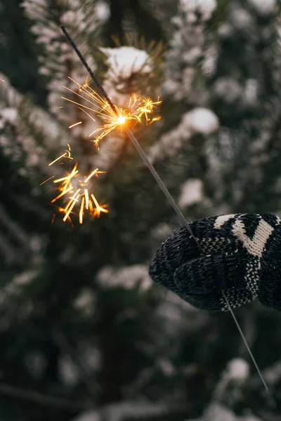 新年快乐 手拿着舒适的手套 在雪地里的松树枝的背景上燃着火花 大气魔法时刻 女人在晚上与发光的烟火手牵手 假期快乐 — 图库照片