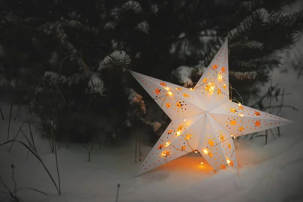 圣诞快乐 大圣诞星在冬日公园的雪松上闪闪发光 关门了 文字空间 大气魔法冬季时间 夜晚明亮的圣诞之星 圣诞节的奇迹 — 图库照片