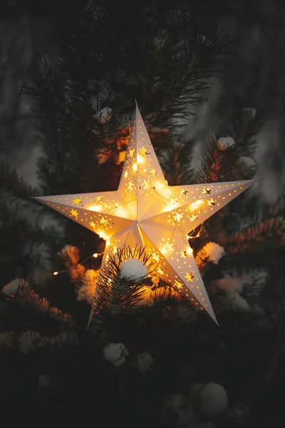 Velká Vánoční Hvězda Svítí Zasněžené Borovice Zimním Parku Noci Zblízka — Stock fotografie