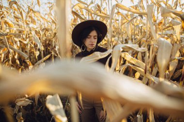 Şapkalı ve kahverengi elbiseli şık bir kadın sonbahar mısır tarlasında güneşli bir ışıkta dinleniyor. Modaya uygun, çekici genç bir kadın kırsal kesimde sonbahar mevsiminde mısırın içinde duruyor.