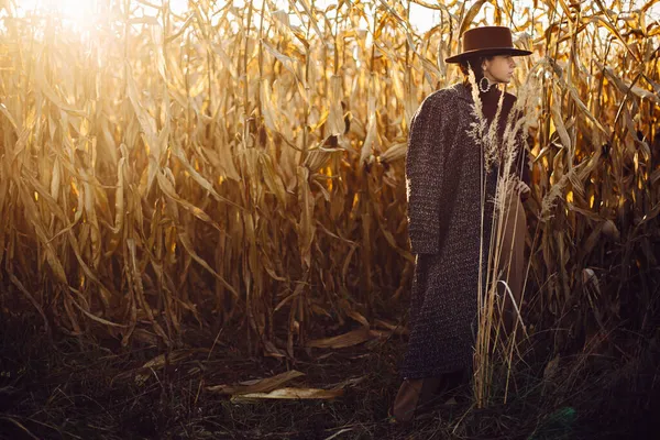 Beautiful Stylish Woman Brown Hat Vintage Coat Posing Autumn Maize — Stock Photo, Image