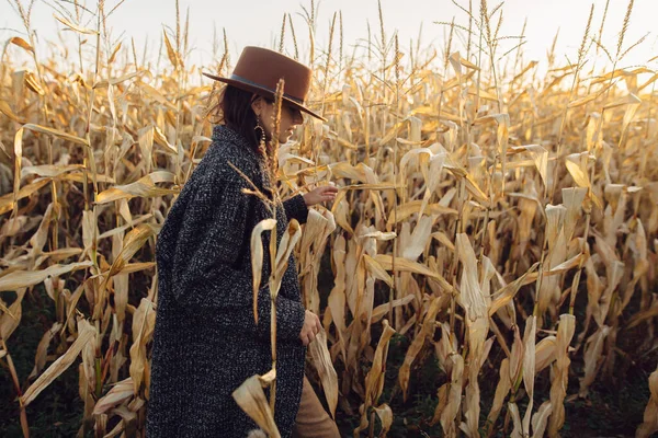 茶色の帽子と日当たりの良い秋のトウモロコシ畑を歩くヴィンテージコートで美しいスタイリッシュな女性 夕方の田舎で秋のトウモロコシを歩くファッショナブルな若いヒップスター女性 大気の瞬間 — ストック写真
