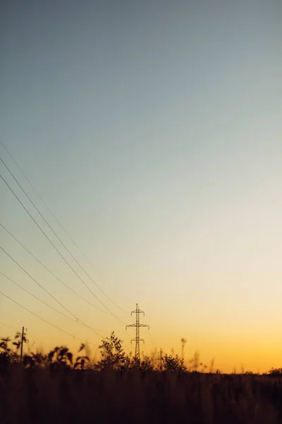 Красивое Осеннее Поле Травой Полевыми Цветами Фоне Электрической Башни Линиями — стоковое фото
