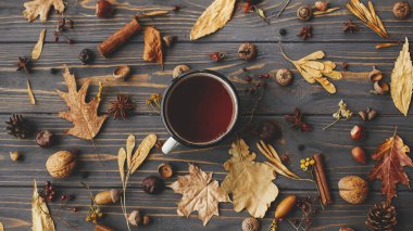 Sıcak sonbahar günleri. Sonbahar yapraklarının, böğürtlenlerin, fındıkların, anasonların, meşe palamutlarının, kır ağaçlarının üzerindeki çam kozalaklarının arka planında sıcak bir fincan çay. Merhaba sonbahar yatağı.