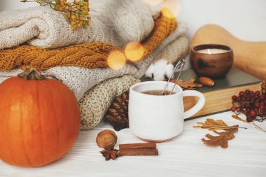 Balkabağı, bir fincan çay, rahat süveterler, sonbahar yaprakları, yanan mum ve klasik kitap altın ışıklarıyla dolu, beyaz ahşap arka planda. Merhaba sonbahar, rahat ve yavaş yaşam. Mutlu Şükran Günleri