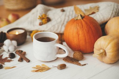 Merhaba sonbahar, rahat ve yavaş yaşam. Sonbahar yaprakları, balkabağı, rahat kazaklar, şık bir odada beyaz odunda yanan mum. Mutlu Şükran Günleri