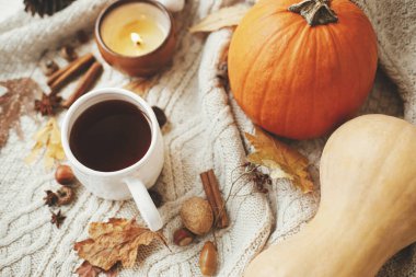 Balkabaklı, sonbahar yapraklı, fındıklı, yanan mumlu, şık örülmüş süvetere sıcak çay. Sıcak sonbahar, yavaş yaşam. Mutlu Şükran Günleri ve Cadılar Bayramı. Merhaba sonbahar sezonu