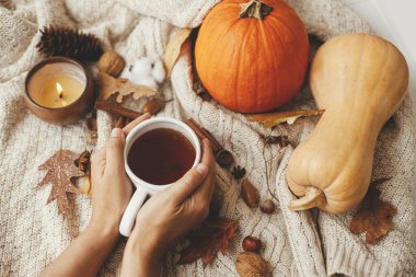 Süslü, kabaklı, sonbahar yapraklı, yanan mumlu süveterin üzerinde sıcak çay tutan eller. Sıcak sonbahar, yavaş yaşam. Mutlu Şükran Günleri Merhaba sonbahar sezonu