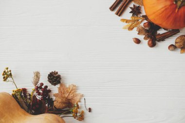 Sonbahar arkaplanı düzleşmişti. Balkabakları, sonbahar yaprakları, anason, meşe palamudu, beyaz ahşap üzerine tarçın ve yazı için yer. Şükran Günü ve Cadılar Bayramı şablonu kutlu olsun. Merhaba Fall.