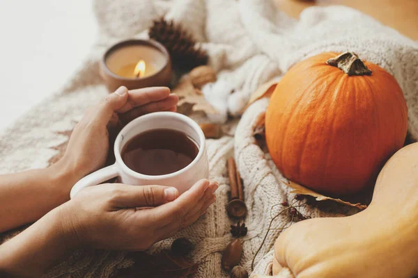 Cozy Autumn Slow Living Hands Holding Warm Cup Tea Stylish — Stock Photo, Image