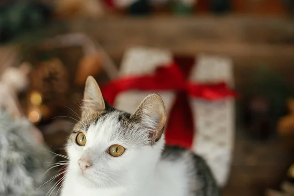 赤いリボンとお祝いの休日の装飾が部屋に素朴な木製のテーブルの上にスタイリッシュなクリスマスプレゼントを背景にかわいい子猫の肖像画 ペットと冬の休日 クリスマス猫 テキストのスペース — ストック写真