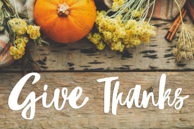 Balkabağı, sonbahar çiçekleri, şifalı otlar, eski ahşap düzlükte rahat bir battaniye üzerine şükran mesajı verin. Mutlu Şükran Günleri. Mevsimlik tebrik kartı, el yazısı. Şükran Günü selamları.