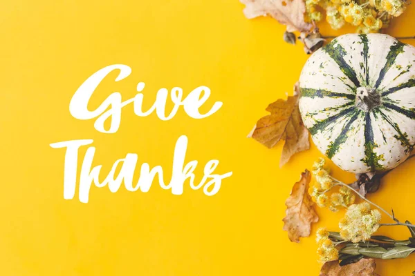 カボチャ 秋の花に感謝のテキストを与え 黄色の背景フラットレイアウトに残します ハッピー感謝祭季節のグリーティングカード 手書きのサイン 感謝祭の挨拶 — ストック写真
