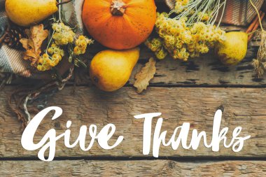 Balkabağı, sonbahar yaprakları, çiçekler, armutlar, eski ahşap düzlüklerdeki rahat battaniye üzerine şükran mesajı verin. Mutlu Şükran Günleri. Mevsimlik tebrik kartı, el yazısı. Şükran Günü selamları.