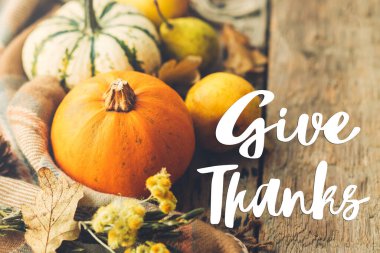 Balkabaklarına, sonbahar yapraklarına, armutlara, eski ahşap örtüye şükran mesajı at. Mutlu Şükran Günleri. Mevsimlik tebrik kartı, el yazısı. Şükran Günü selamları.