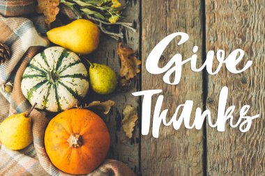 Balkabakları, sonbahar yaprakları, armutlar, eski ahşap düzlüklerdeki rahat battaniyeler üzerine şükran mesajları verin. Mutlu Şükran Günleri. Mevsimlik tebrik kartı, el yazısı. Şükran Günü selamları.