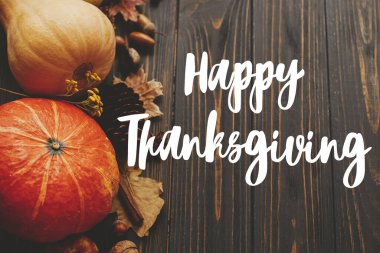 Şükran Günü Kartın kutlu olsun. Balkabakları, sonbahar yaprakları, anason, böğürtlen ve meşe palamudu hakkındaki Şükran Günü metnin kutlu olsun. Mevsimin selamları, el yazması mektuplar. Şükret.