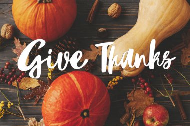 Balkabakları, sonbahar yaprakları, anason, böğürtlen ve kır ağaçlarındaki meşe palamudu kompozisyonu üzerine şükranlarınızı iletin. Mutlu Şükran Günleri. Mevsimlik tebrik kartı, el yazısı. Şükran Günü selamları.