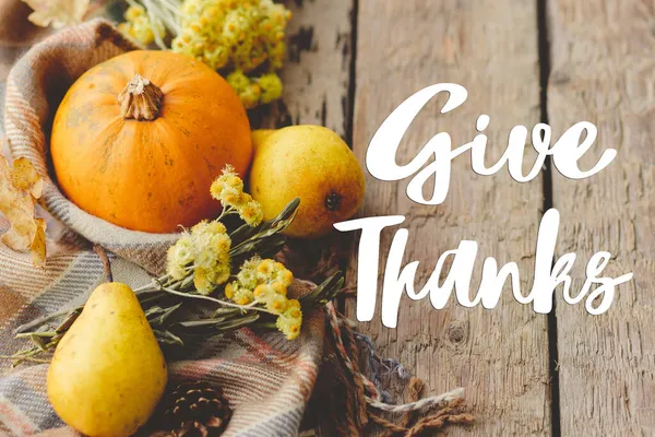Give Thanks Text Pumpkin Autumn Leaves Flowers Pears Cozy Blanket — Stock Photo, Image