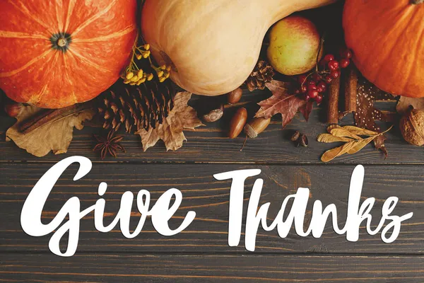 Give Thanks Text Pumpkins Autumn Leaves Anise Berries Acorns Border — Stock Photo, Image