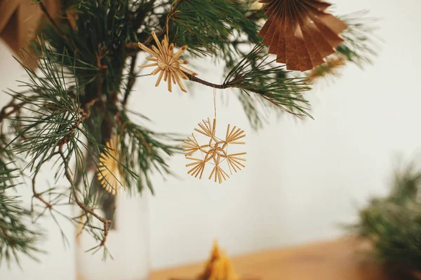 장식을 분위기 속에서 크리스마스 장식을 배경에 화병의 소나무 가지에 아름다운 — 스톡 사진