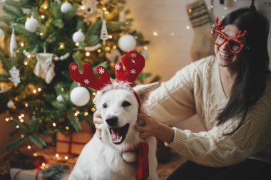 Geyik boynuzlarıyla sevimli köpekle oynayan zarif mutlu kadın yılbaşı ağacının altında ışıklarda. Genç bir kadın, İskandinav festivalinde sevimli beyaz köpeğe boynuz takıyor. İyi tatiller.!